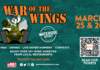 War of the Wings